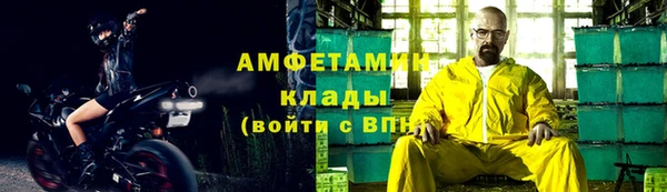 амф Гусь-Хрустальный