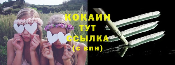амф Гусь-Хрустальный
