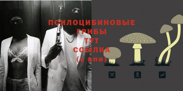 метадон Гусев