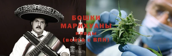 амф Гусь-Хрустальный