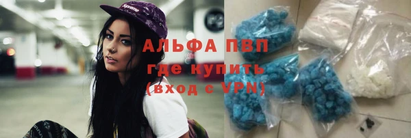 метадон Гусев