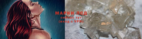 амф Гусь-Хрустальный