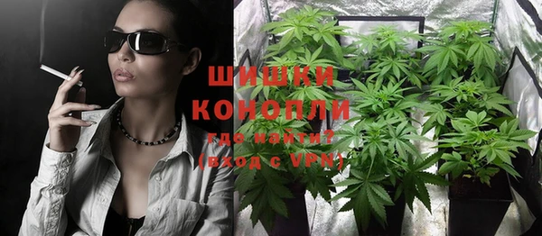 метадон Гусев