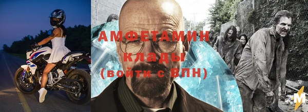 амф Гусь-Хрустальный
