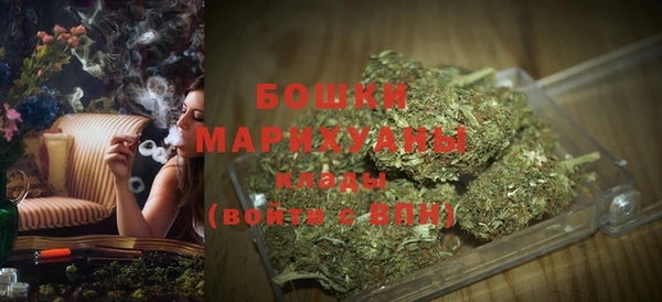 амф Гусь-Хрустальный
