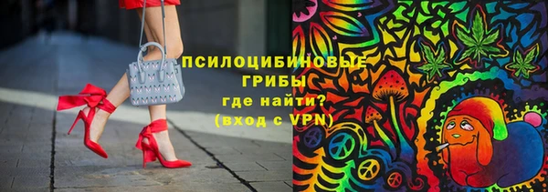 метадон Гусев