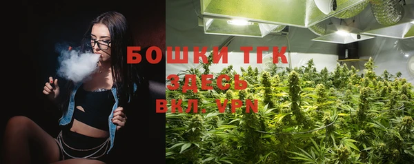 амф Гусь-Хрустальный