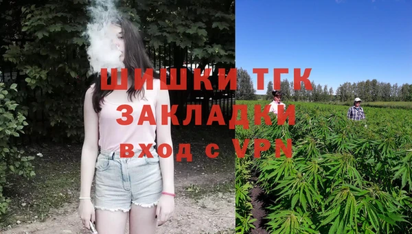 амф Гусь-Хрустальный