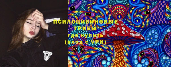 индика Дмитровск