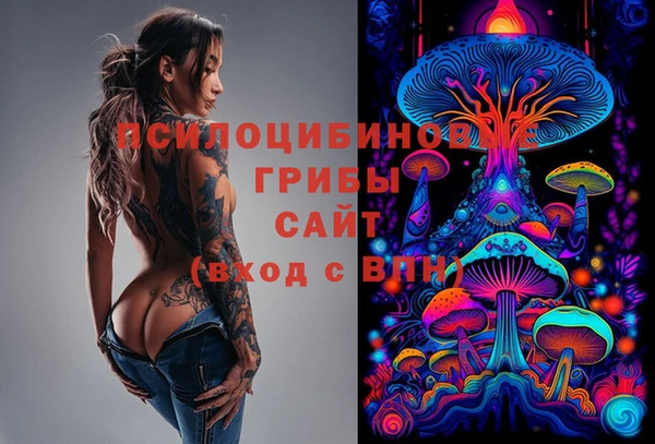 метадон Гусев